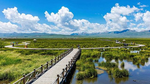 旅行社服務(wù)行業(yè)與旅游開(kāi)發(fā)的融合發(fā)展趨勢(shì)